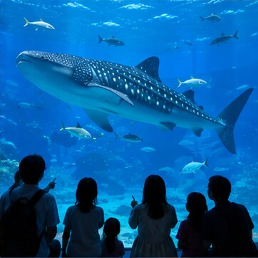 21世紀の森公園